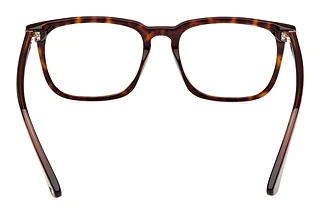 Rückansicht Web Eyewear WE5430 (056)