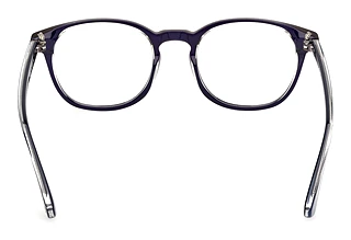 Rückansicht Web Eyewear WE5441 (092)