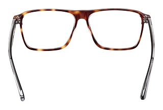 Rückansicht Web Eyewear WE5442 (056)