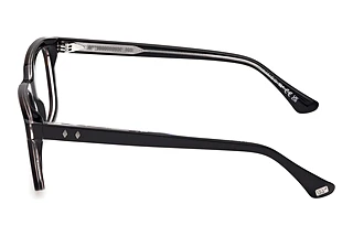Seitenansicht Web Eyewear WE5445 (056)