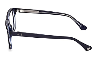 Seitenansicht Web Eyewear WE5445 (092)