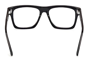 Rückansicht Web Eyewear WE5450 (056)