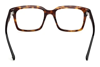 Rückansicht Web Eyewear WE5452 (055)