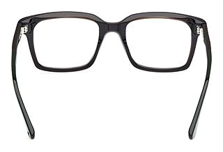 Rückansicht Web Eyewear WE5452 (098)