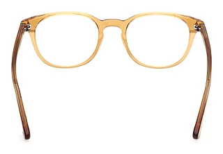 Rückansicht Web Eyewear WE5455 (039)