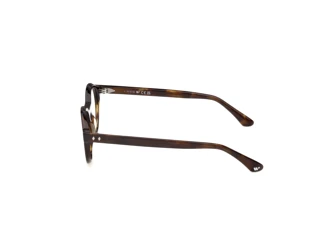 Seitenansicht Web Eyewear WE5472 (052)