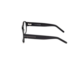 Seitenansicht Web Eyewear WE5480 (001)