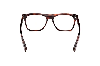 Rückansicht Zegna EZ5267 (054)