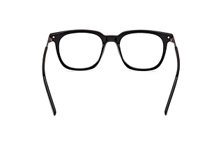 Rückansicht Zegna EZ5273 (001)