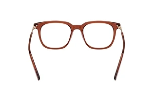 Rückansicht Zegna EZ5273 (048)