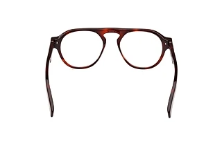 Rückansicht Zegna EZ5281 (054)