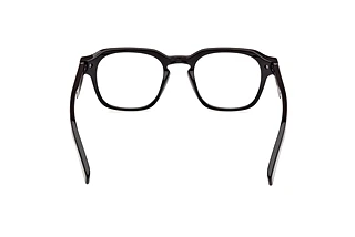 Rückansicht Zegna EZ5282 (001)