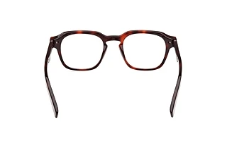 Rückansicht Zegna EZ5282 (054)