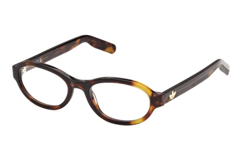 Brille Adidas Originals OR5161 053