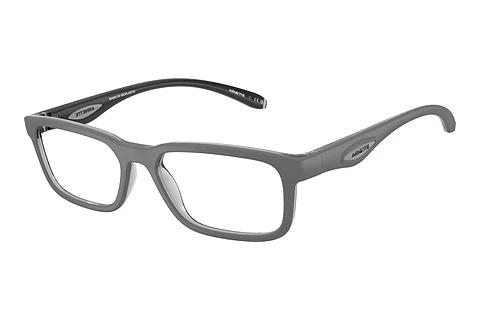 Brille Arnette RAYSIN (AN7283 3009)