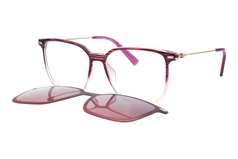 Brille Bogner 66020 3500