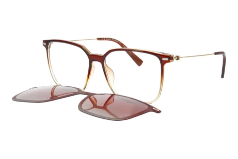 Brille Bogner 66020 5100