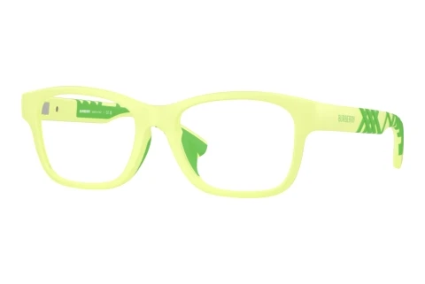 Brille Burberry JB2018U 4237