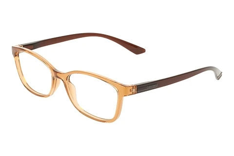 Brille Calvin Klein CK23525N 209