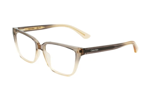 Brille Calvin Klein CK24524 N 039