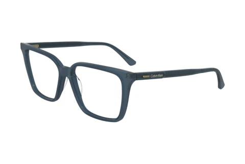 Brille Calvin Klein CK24544 N 445