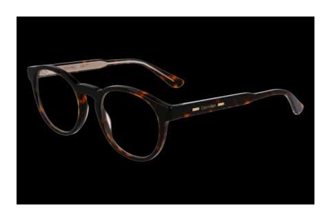 Brille Calvin Klein CK24551MAG-SET N 206