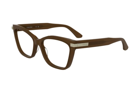 Brille Calvin Klein CK25513 N 601