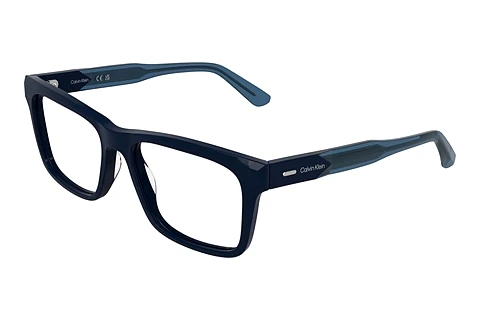 Brille Calvin Klein CK25544 400