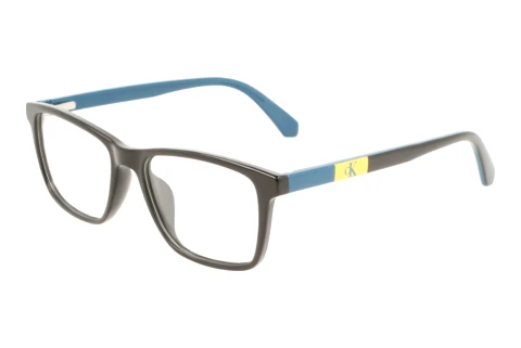 Brille Calvin Klein CKJ22302 001