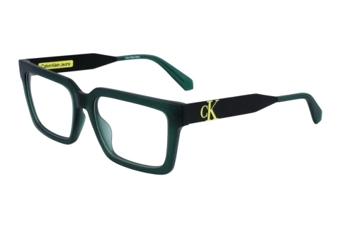 Brille Calvin Klein CKJ23619 300