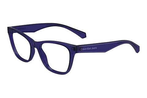 Brille Calvin Klein CKJ24304 500