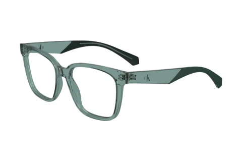 Brille Calvin Klein CKJ24306 N 302