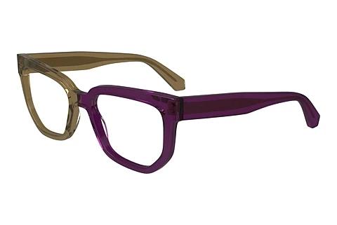 Brille Calvin Klein CKJ24615 208