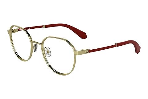 Brille Calvin Klein CKJ25304 717