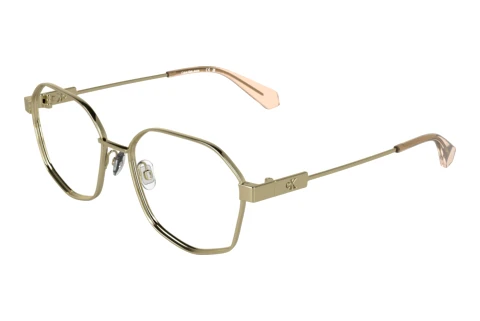 Brille Calvin Klein CKJ26224 717