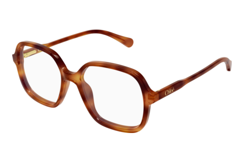 Brille Chloé CC0027O 003
