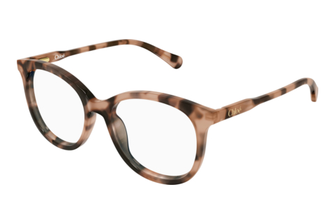 Brille Chloé CC0028O 002