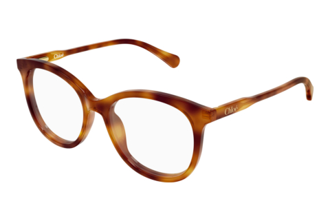 Brille Chloé CC0028O 003