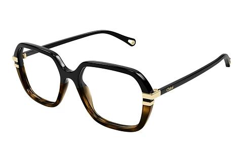 Brille Chloé CH0205O 003