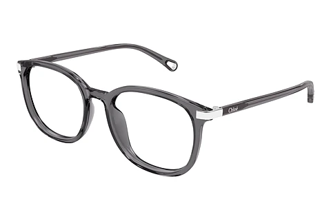 Brille Chloé CH0247OA 004