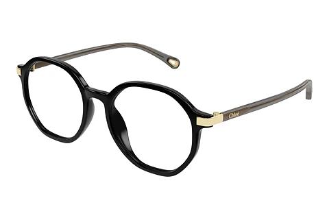 Brille Chloé CH0249OA 001