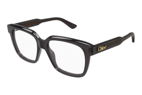 Brille Chloé CH0340O 006