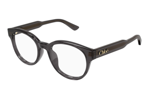 Brille Chloé CH0343OA 001