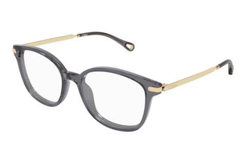 Brille Chloé CH0359O 001