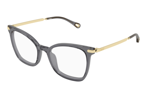 Brille Chloé CH0360O 001