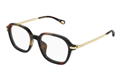 Brille Chloé CH0361OA 002