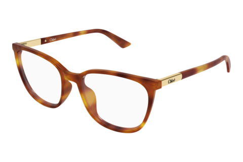 Brille Chloé CH0370OL 007