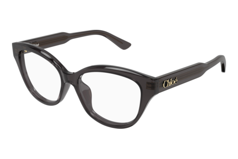 Brille Chloé CH0381OL 001