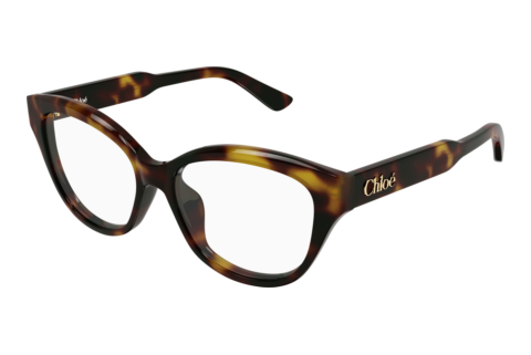 Brille Chloé CH0381OL 002
