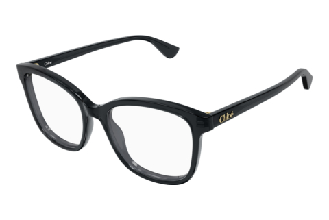 Brille Chloé CH0393O 001